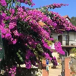 El Rincon De 3*
