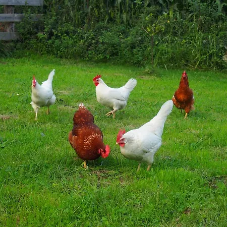 Bed & Breakfast El Rincon De Escalante