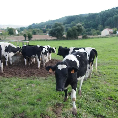 El Rincon De 3* Escalante