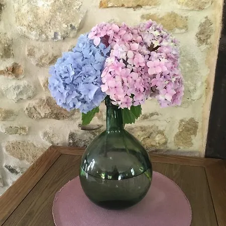 El Rincon De Bed & Breakfast