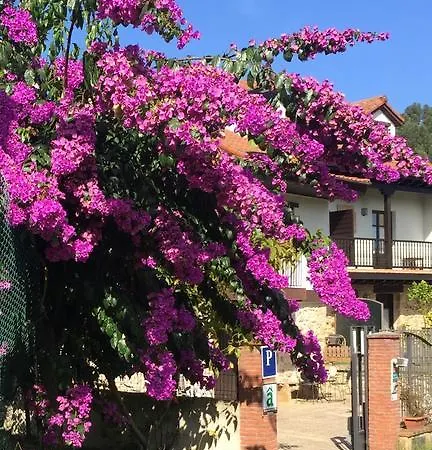 El Rincon De 3*