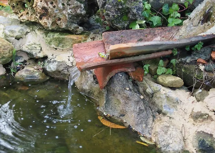 El Rincon De Bed and Breakfast Escalante