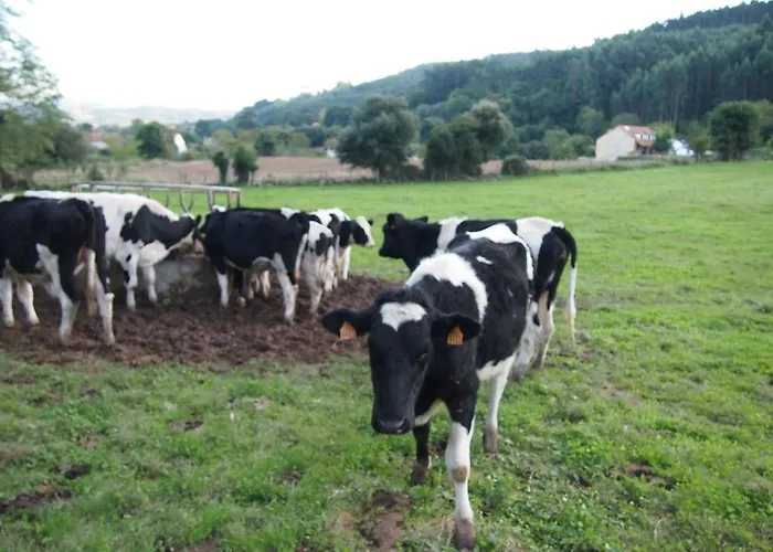 El Rincon De 3* Escalante