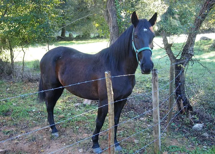 Bed and breakfast El Rincon De 3*