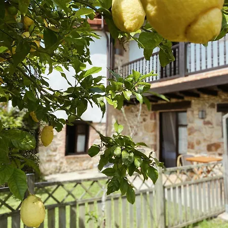 Alojamento de Acomodação e Pequeno-almoço El Rincón De 3*