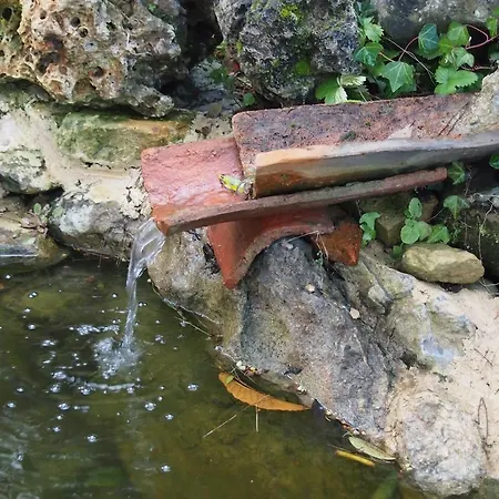 El Rincon De Bed and Breakfast Escalante