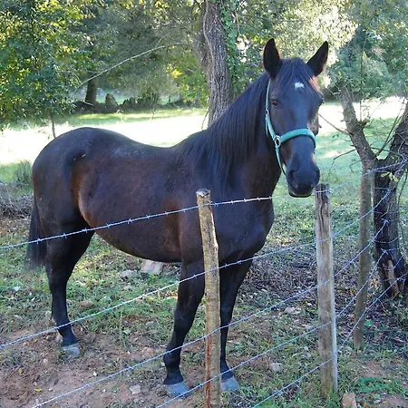 Bed and Breakfast El Rincon De 3*