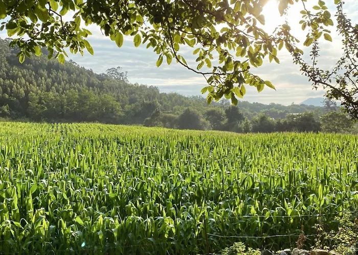 El Rincón De Alojamento de Acomodação e Pequeno-almoço