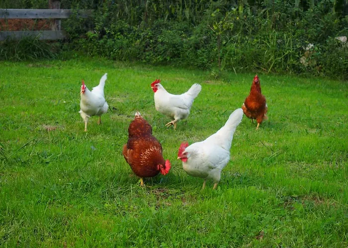 Bed & Breakfast El Rincon De Escalante